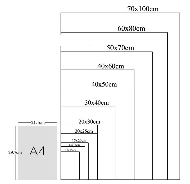 Tableau Fleur <br> Cactus Minimaliste