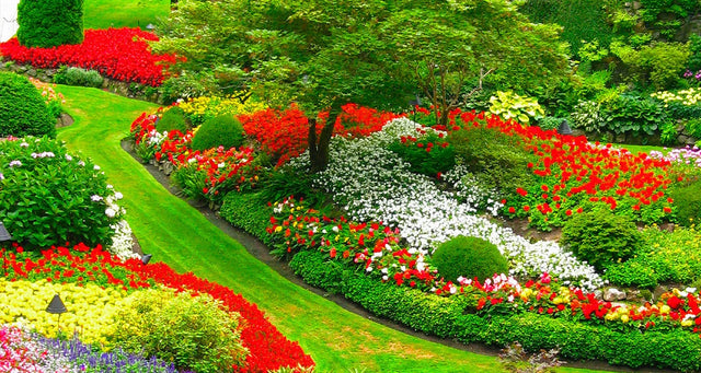 Colors that go well with floral patterns: a complete guide to successful combinations