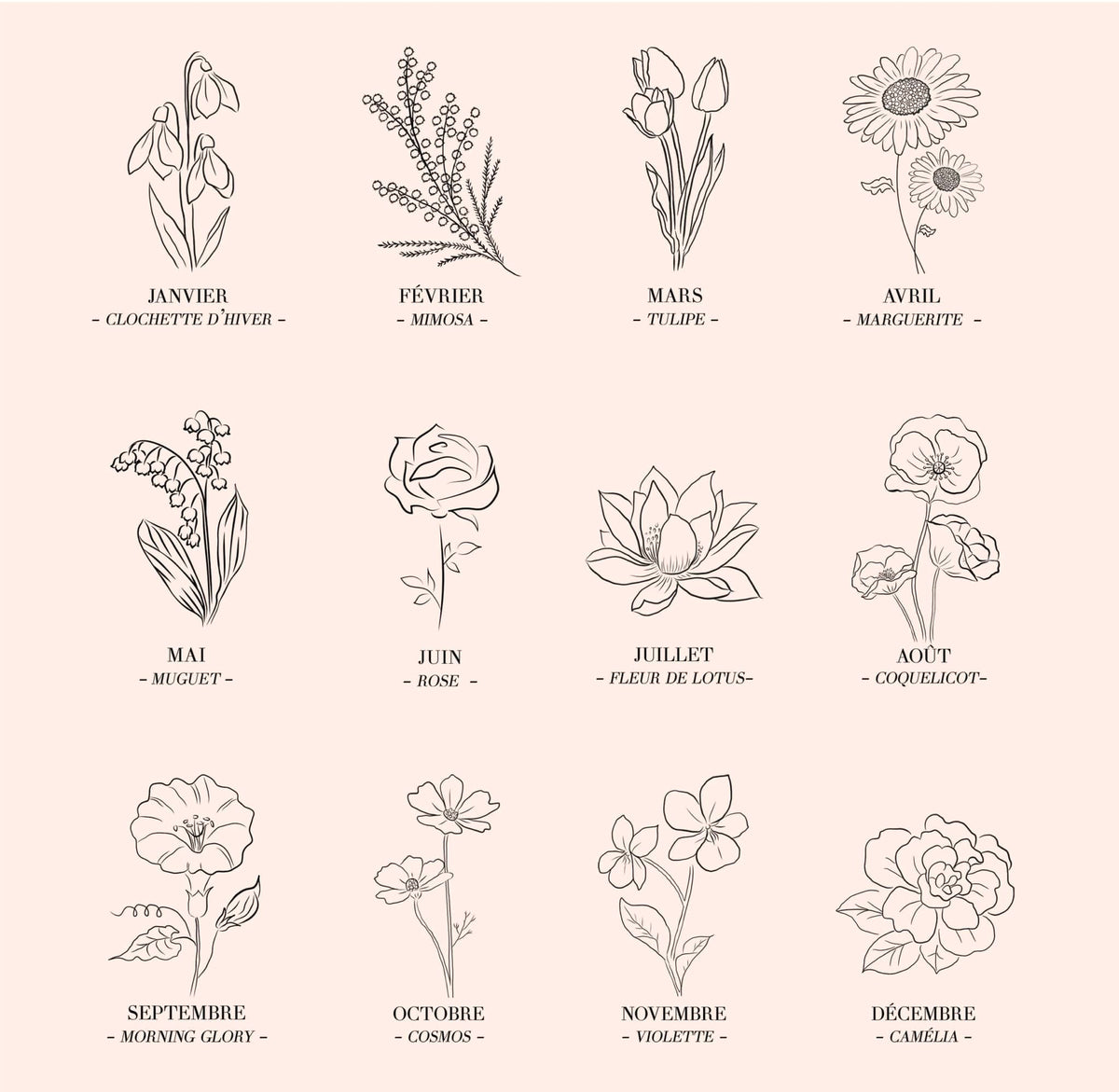Fleur de Naissance : la Fleur de Chaque Mois et sa Signification