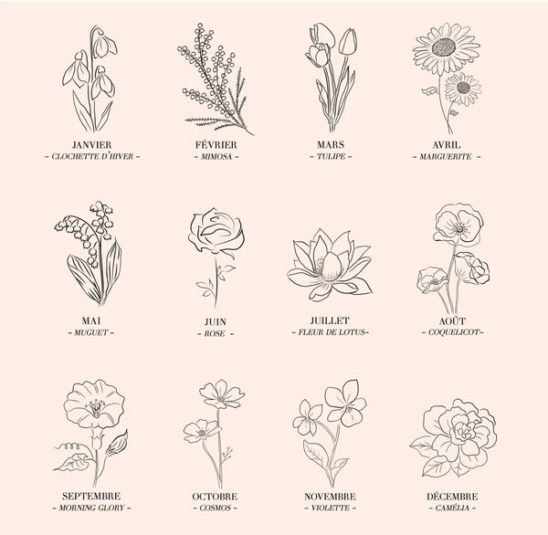 Fleur de Naissance : la Fleur de Chaque Mois et sa Signification
