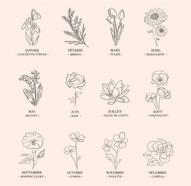 Flor de Nacimiento: la Flor de Cada Mes y su Significado