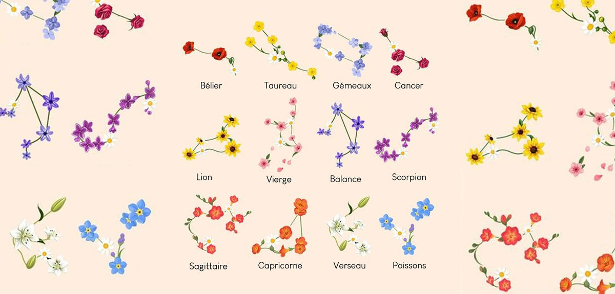 Quelle fleur correspond à ton signe astrologique ? Découvrez votre fleur signature selon les astres