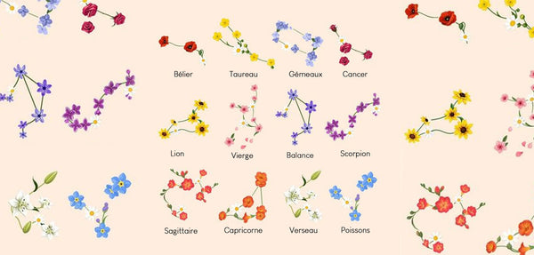 Quelle fleur correspond à ton signe astrologique ? Découvrez votre fleur signature selon les astres