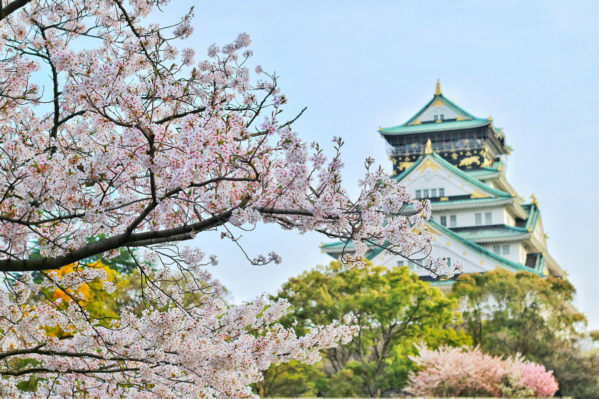 Quelle tenue fleurie pour votre voyage à Osaka ?