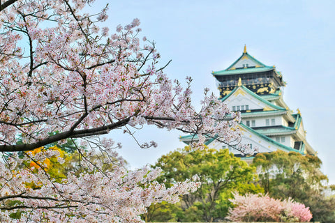 Quelle tenue fleurie pour votre voyage à Osaka ?