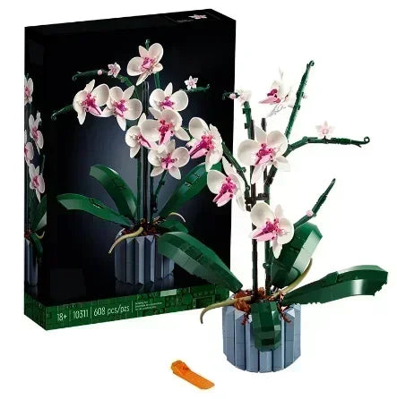 Bloc de Construction Fleur Succulente Orchidée