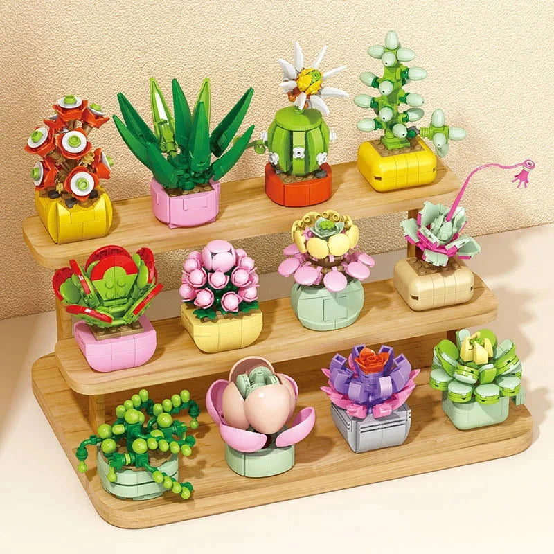 Bloc de Construction Plante Miniature - Plante Paradise