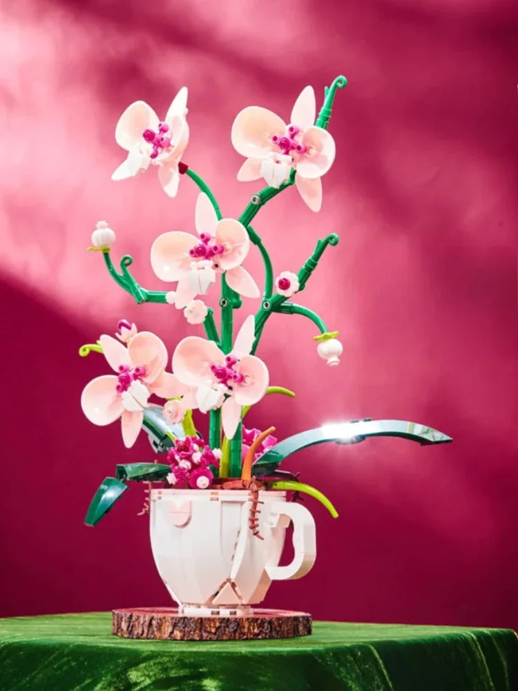 Bloc de Construction Succulente Orchidée Rose