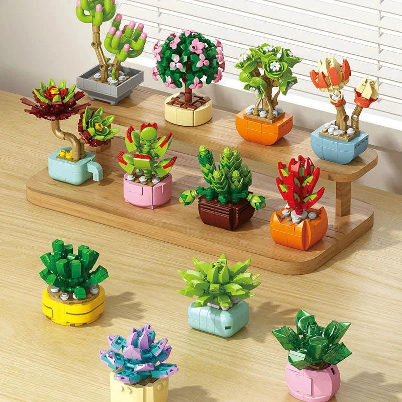 Bloc de Construction Plante Miniature - Plante Paradise