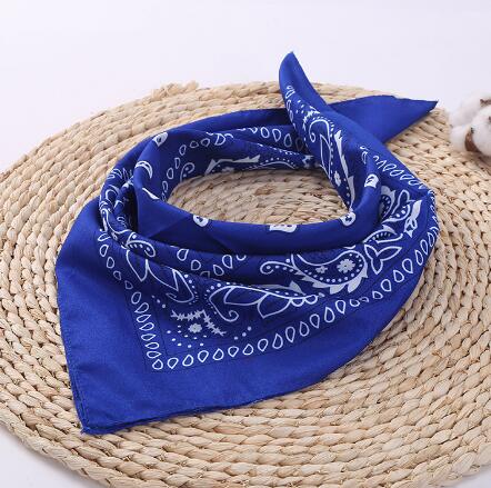 Bandana Homme <br> Bleu