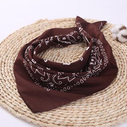 Bandana Homme <br> Brun