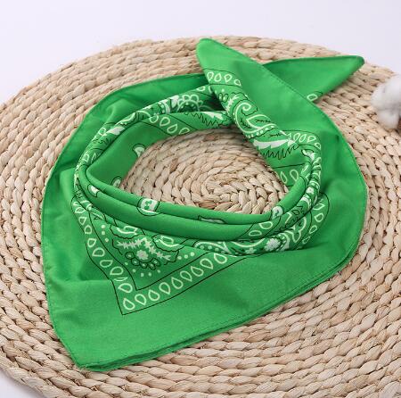 Bandana Homme <br> Vert