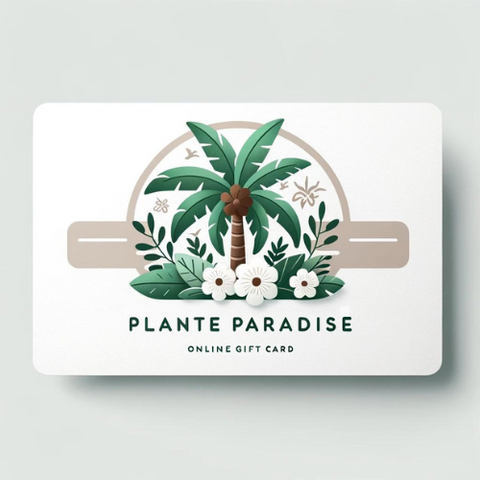Carte Cadeau | Plante Paradise