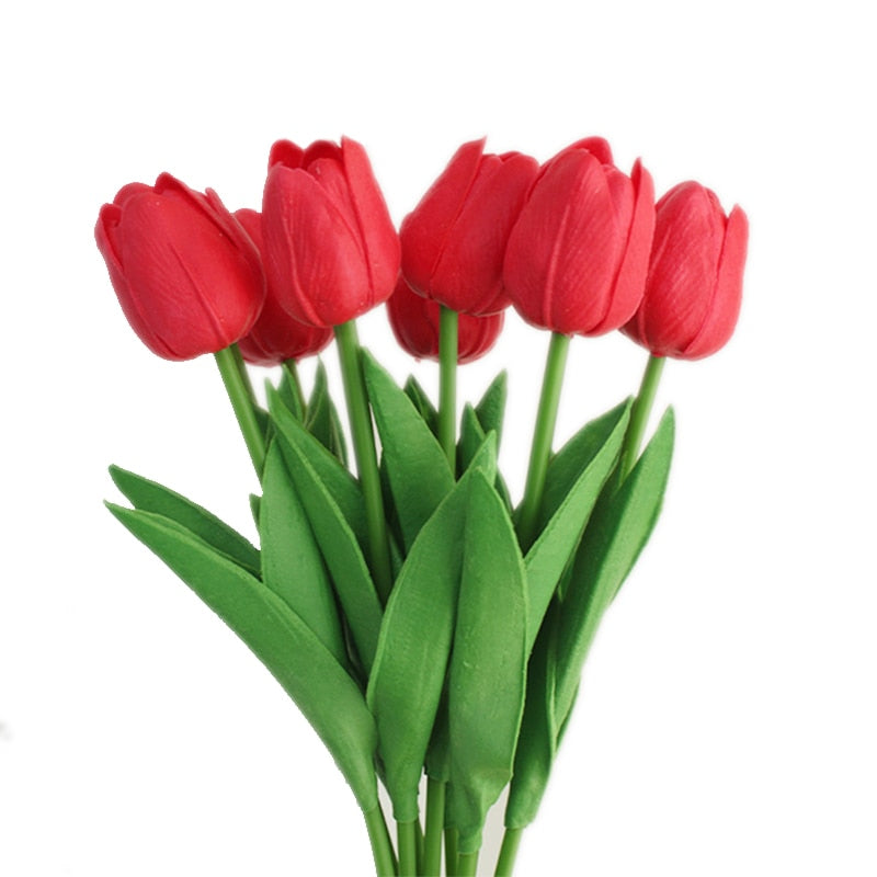 Fausse Plante <br> Tulipe