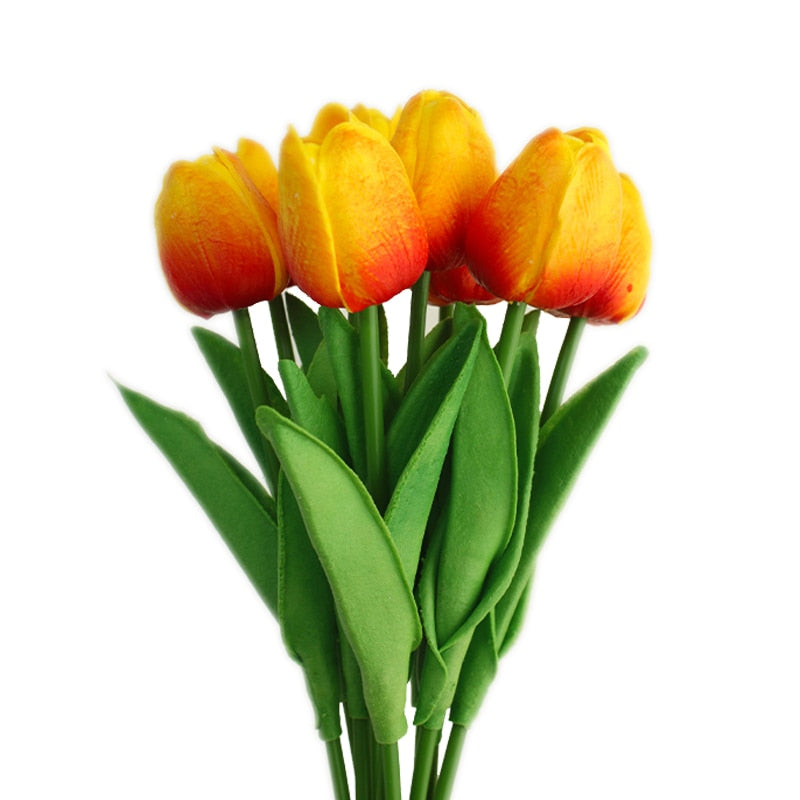 Fausse Plante <br> Tulipe