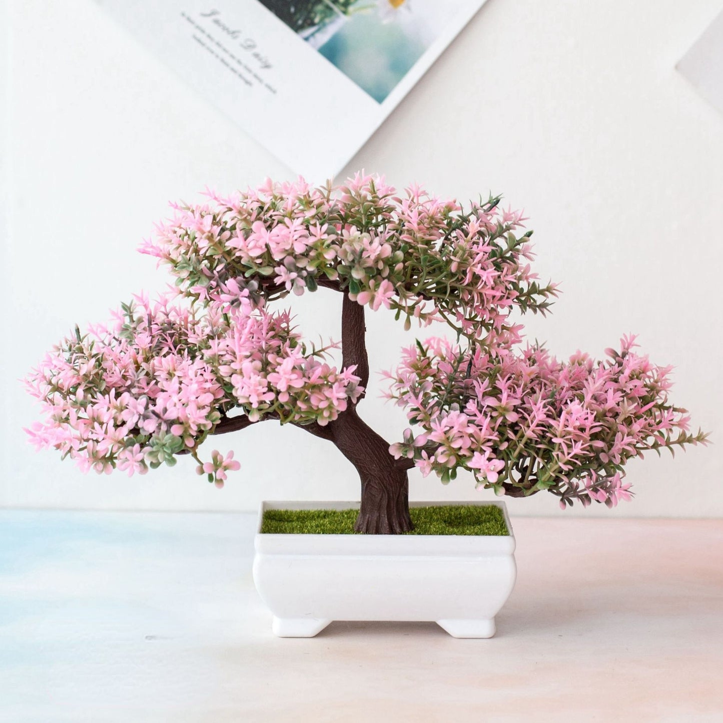 Fausse Plante <br> Bonzai