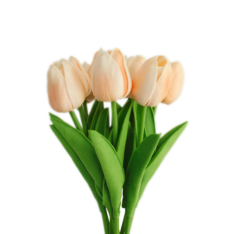 Fausse Plante <br> Tulipe