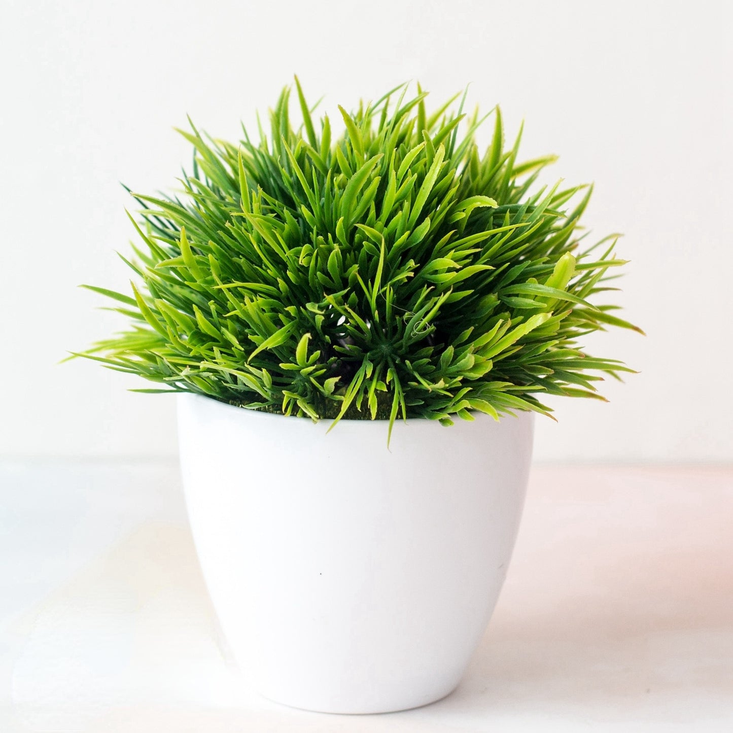 Fausse Plante <br> Bonzai