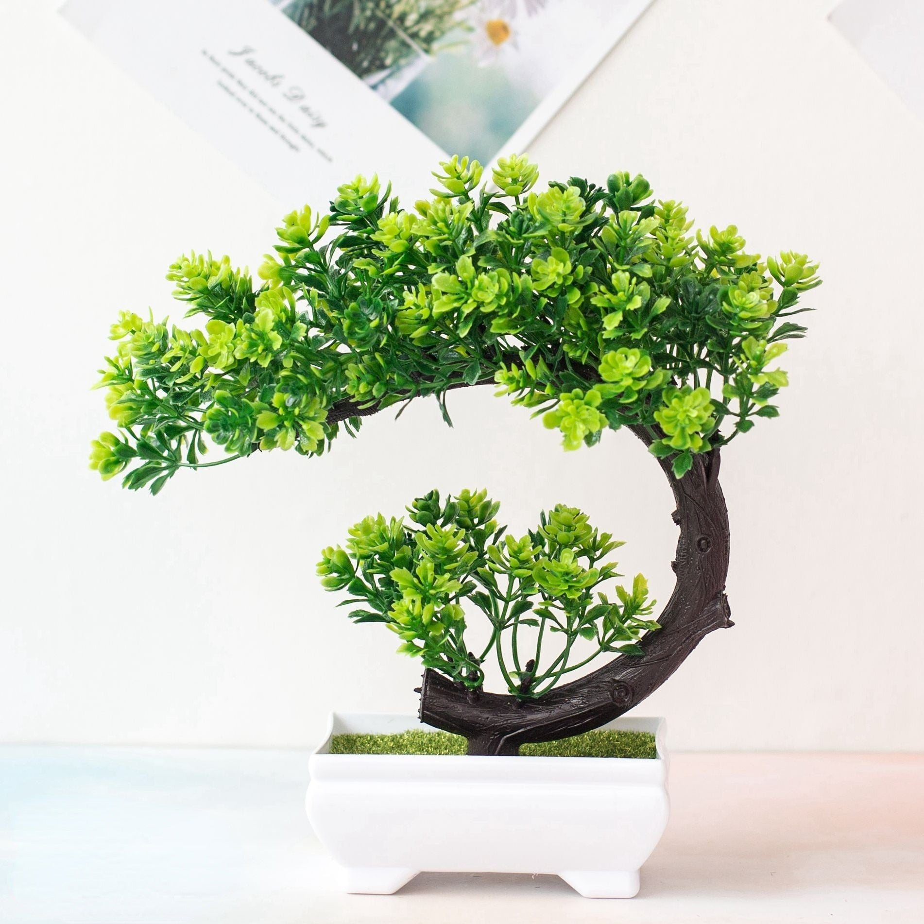 Fausse Plante <br> Bonzai