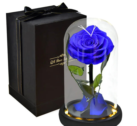 Rose Eternelle  Bleue Avec Packaging