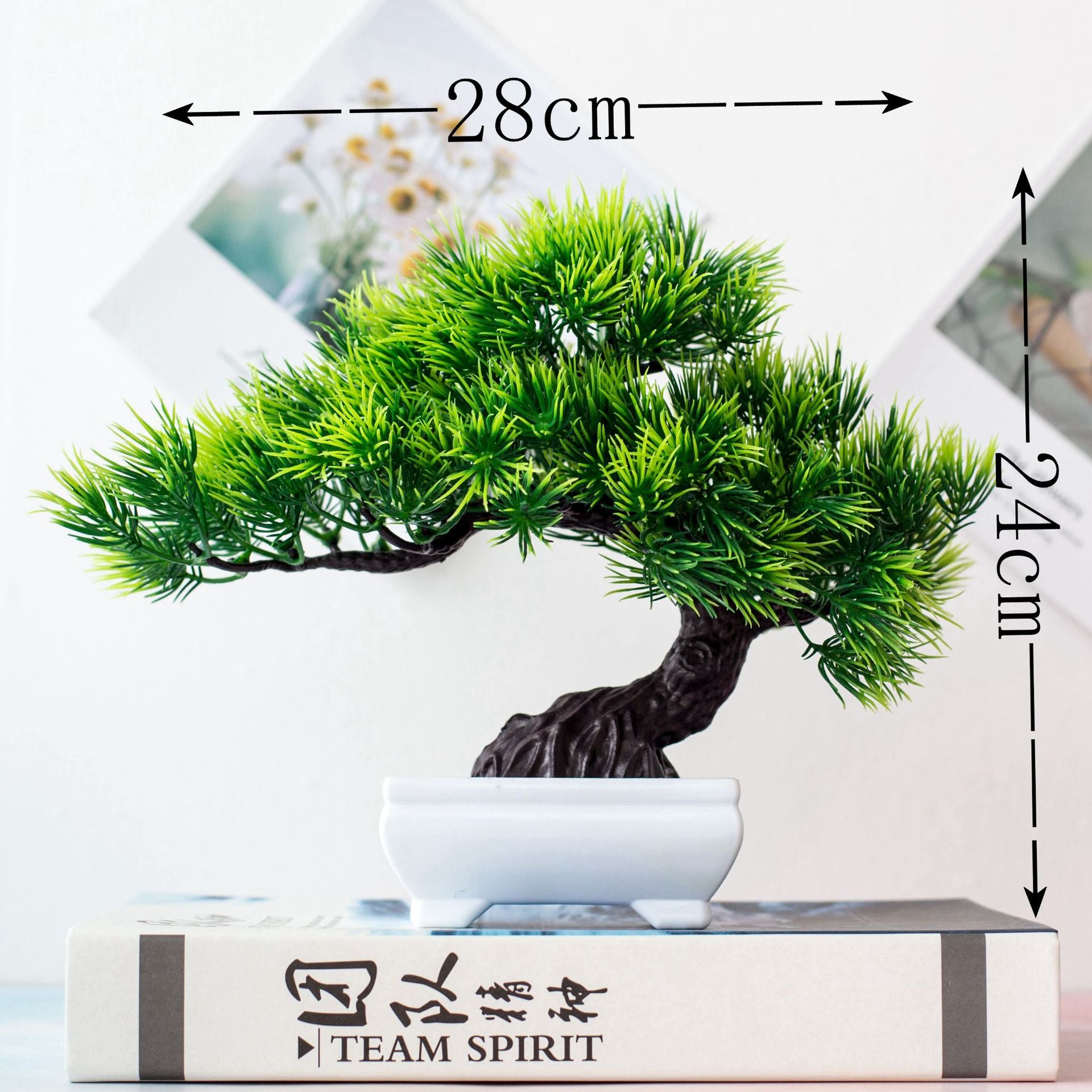 Fausse Plante <br> Bonzai