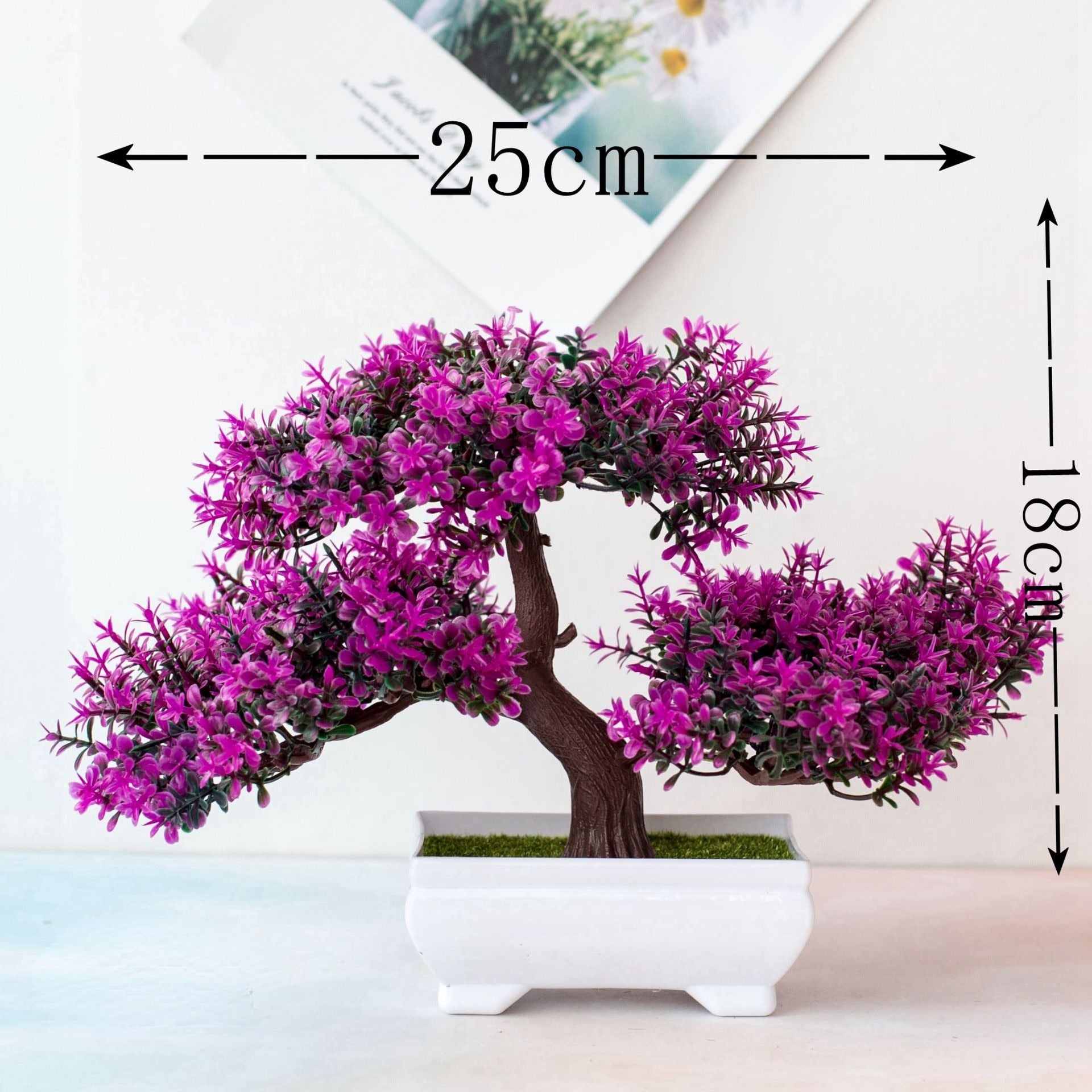 Fausse Plante <br> Bonzai