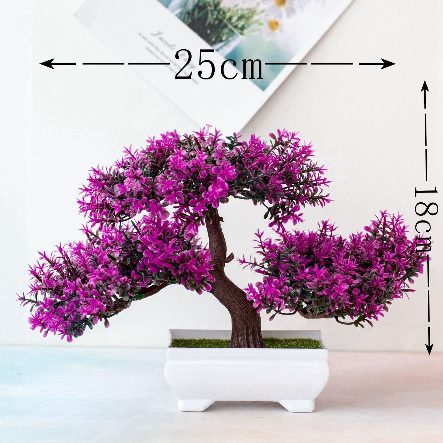 Fausse Plante <br> Bonzai