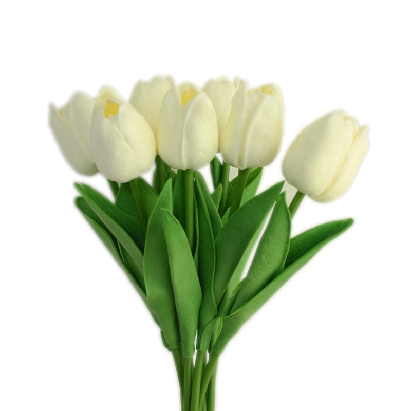 Fausse Plante <br> Tulipe