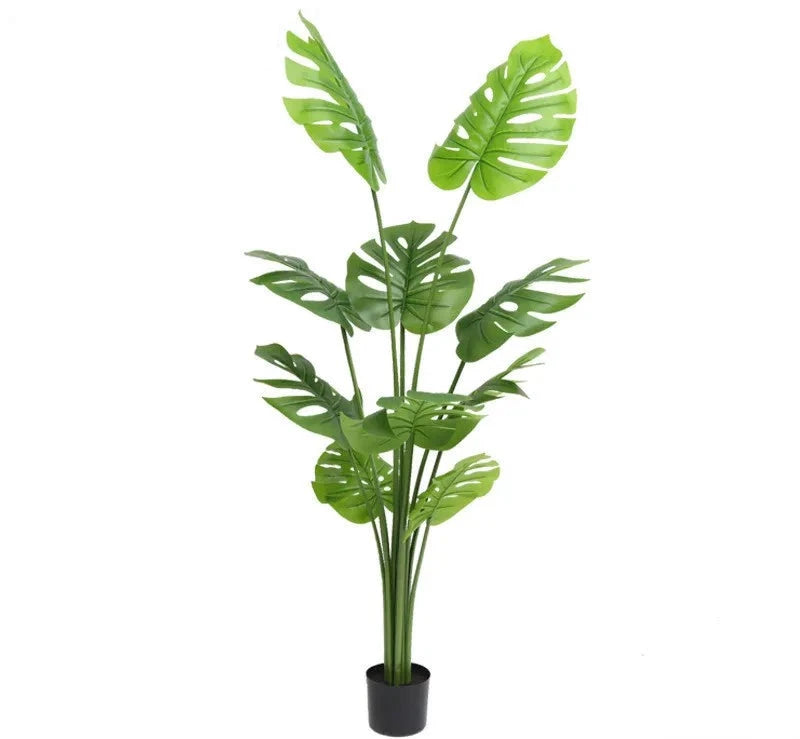 Fausse Plante <br> Intérieur Asie