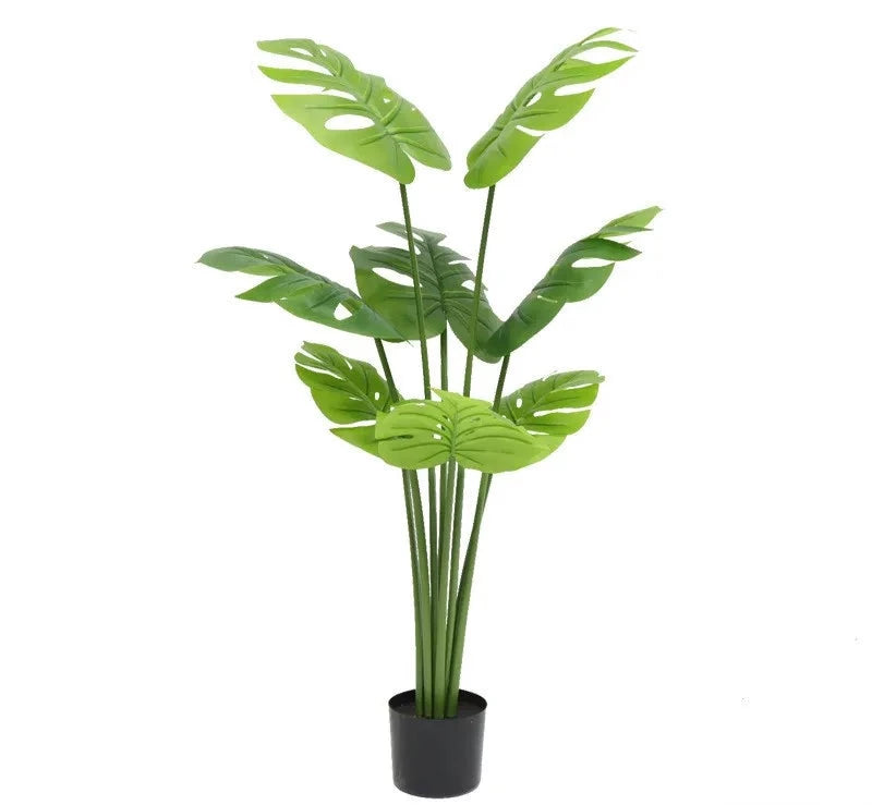 Fausse Plante <br> Intérieur Amazonie