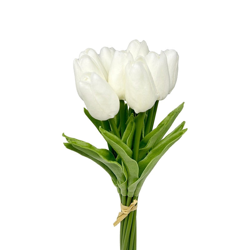 Fausse Plante <br> Tulipe