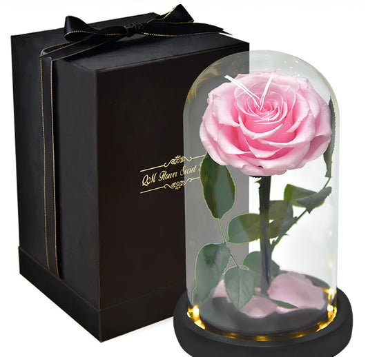 Rose Eternelle <br> Couleur Rose Avec Packaging