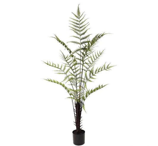 Fausse Plante <br> Grand Bonzai