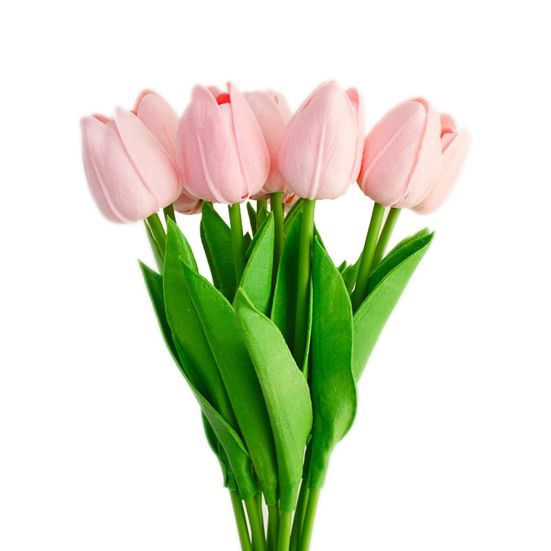 Fausse Plante <br> Tulipe