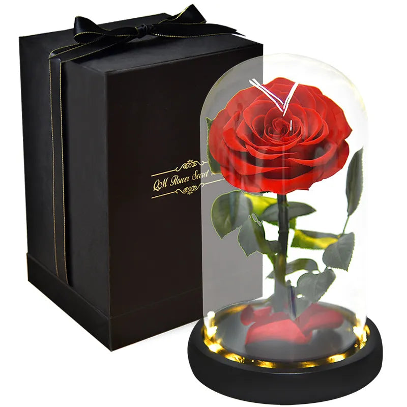 Rose Eternelle <br> Avec Packaging