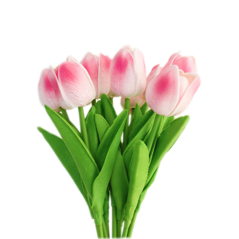 Fausse Plante <br> Tulipe