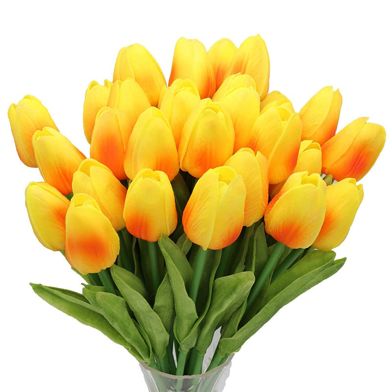 Fausse Plante <br> Tulipe