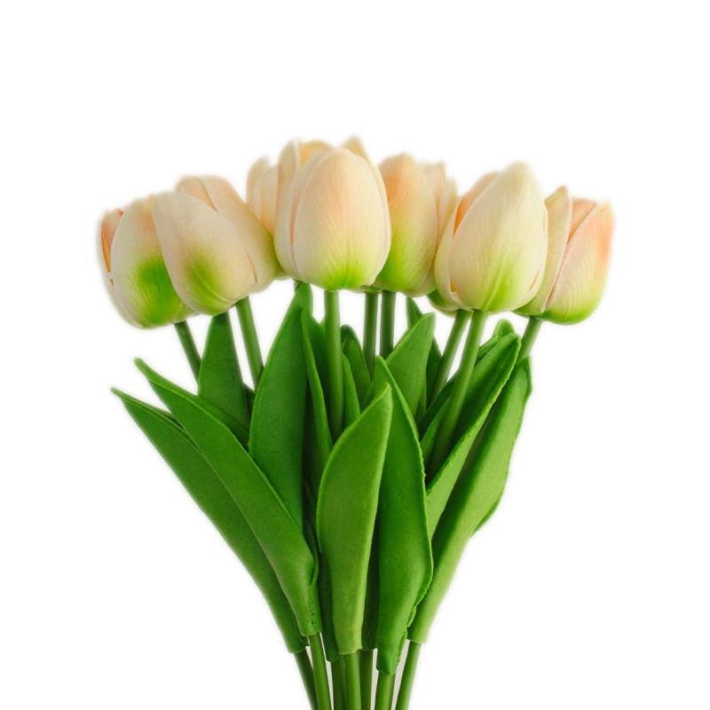 Fausse Plante <br> Tulipe