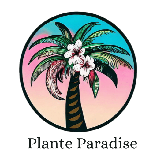 Plante Paradise