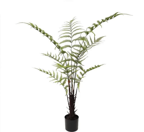 Fausse Plante   Intérieur