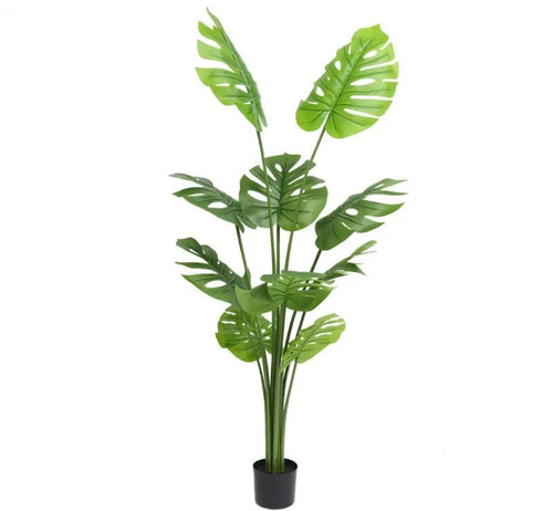 Fausse Plante   Intérieur Asie