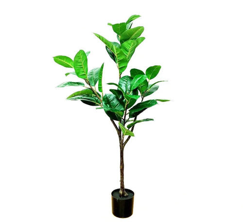 Fausse Plante   Intérieur Moderne