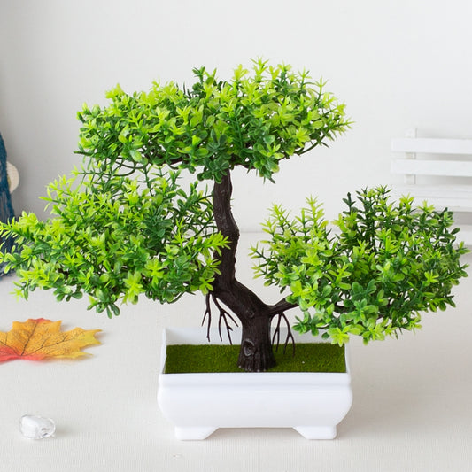 Fausse Plante <br> Bonzai