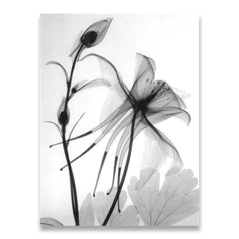 Tableau Fleur  Abstraite